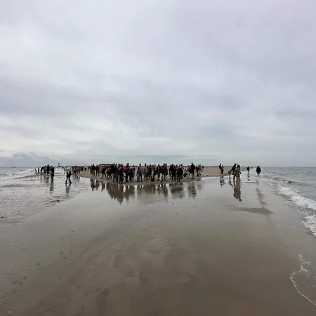 4 Person In Skagen-by Traum 度假居 *