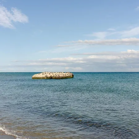 4 Person In Skagen-by Traum 度假居 *